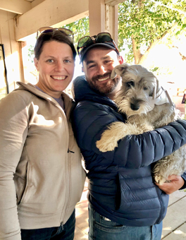 Photo of Rescue Miniature Schnauzer Puppy Bo